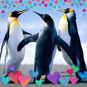 Meet your Posher, Mimi